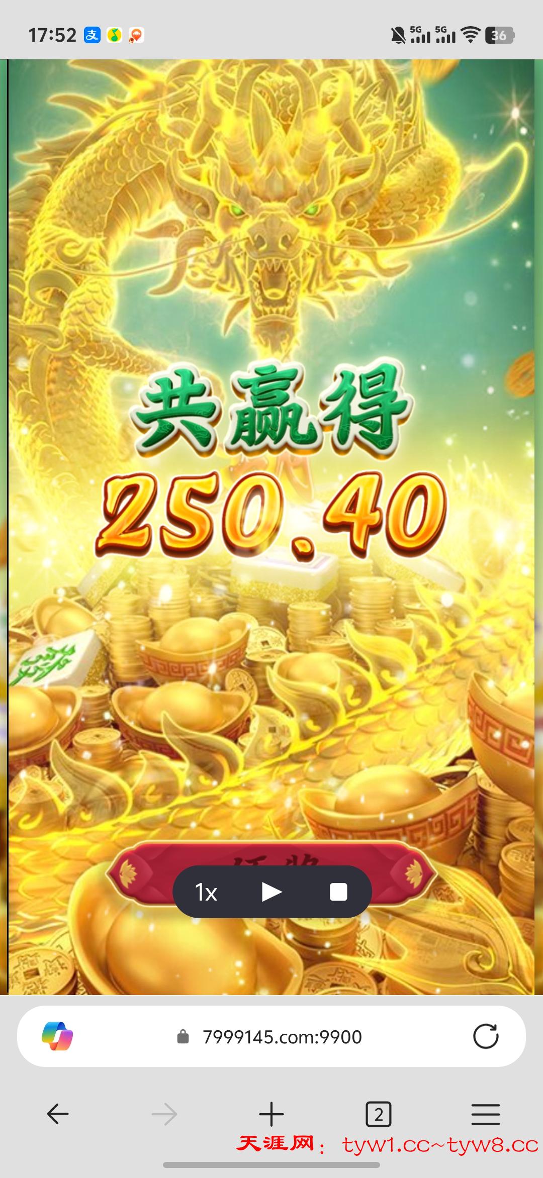 Screenshot_20251218_175245.jpg