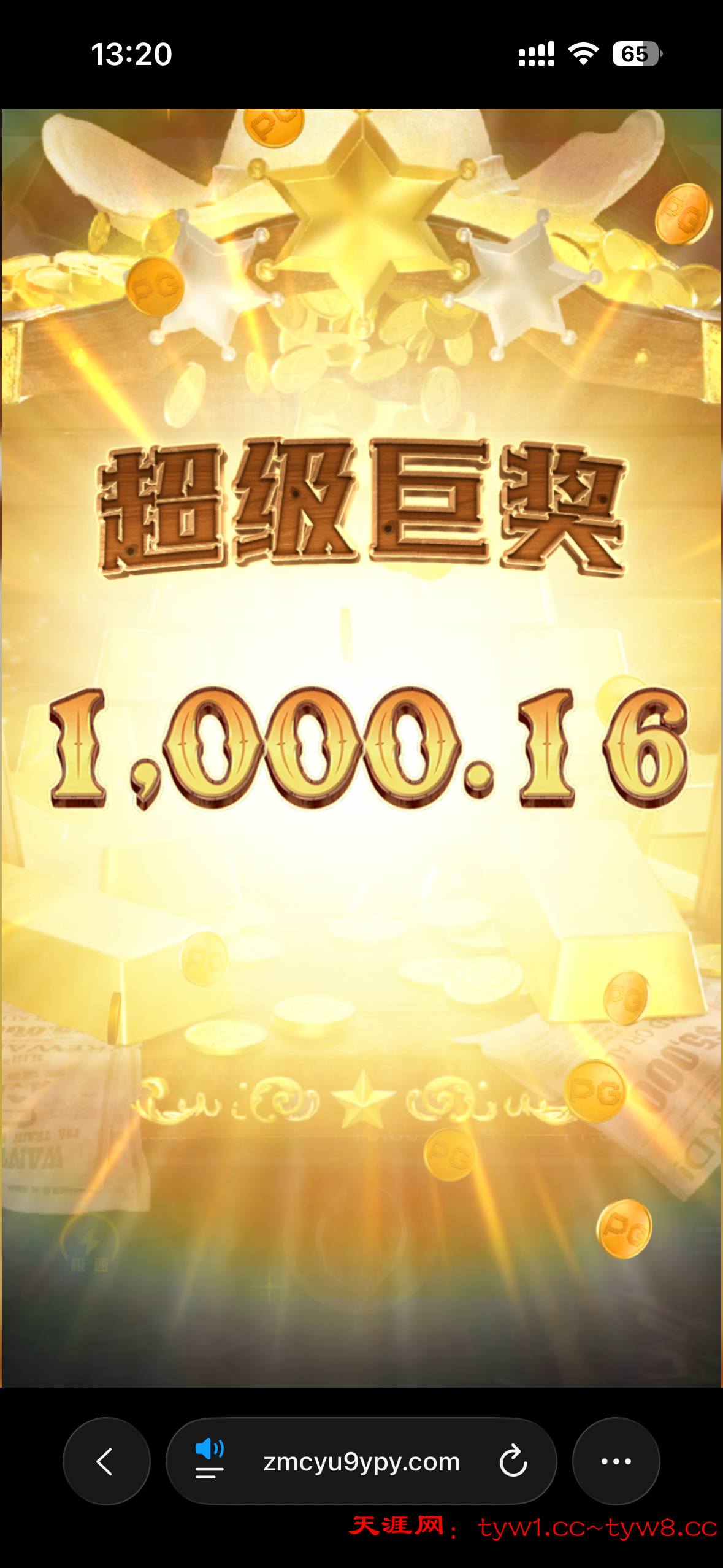 IMG_9556.png
